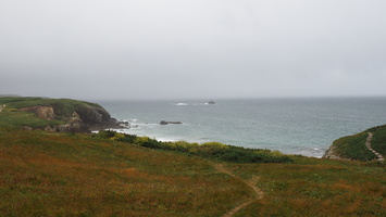P6039132.JPG