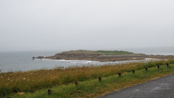 P6039161.JPG