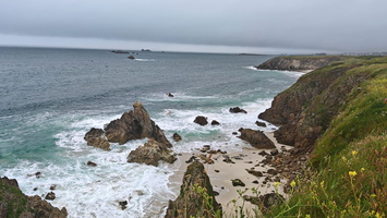IMG-20250603-WA0008