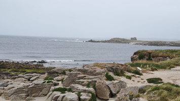 IMG-20250603-WA0003