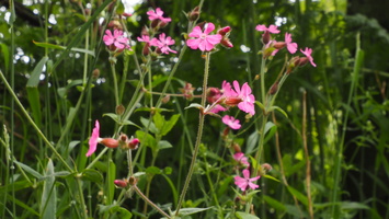 P6106467.JPG