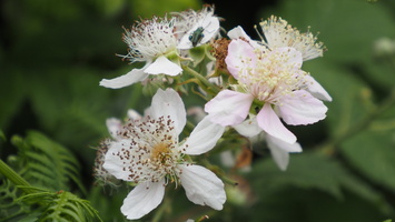 P6106469.JPG
