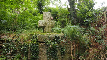 P6106483.JPG