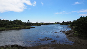 P6106490.JPG