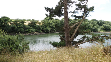 P6106491.JPG