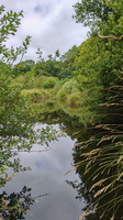 IMG-20250610-WA0042