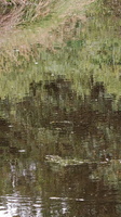 IMG-20250610-WA0040