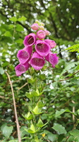 IMG-20250610-WA0038