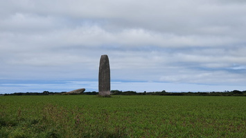 IMG-20250610-WA0031