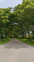 IMG-20250610-WA0030