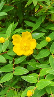 IMG-20250610-WA0001
