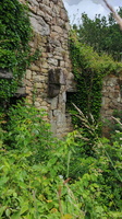 IMG-20250610-WA0003
