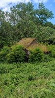 IMG-20250610-WA0004