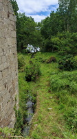 IMG-20250610-WA0005