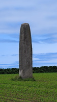 IMG-20250610-WA0010