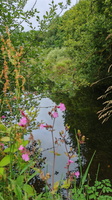IMG-20250610-WA0019