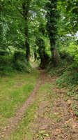 IMG-20250610-WA0021