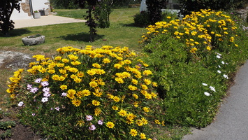 P6175662.JPG