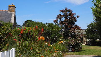 P6175664.JPG
