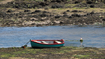 P6175665.JPG