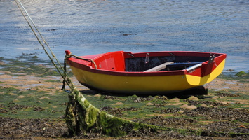 P6175666.JPG