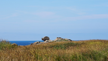 P6175685.JPG