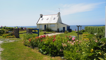 P6175686.JPG