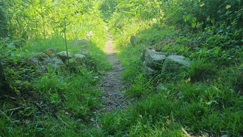 IMG-20250617-WA0020