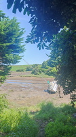 IMG-20250617-WA0017
