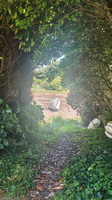 IMG-20250617-WA0010