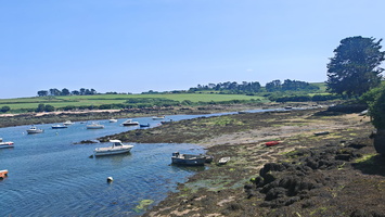 IMG-20250617-WA0009