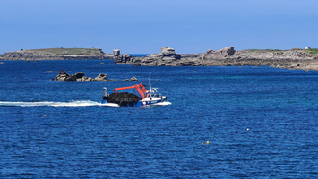 IMG-20250617-WA0007