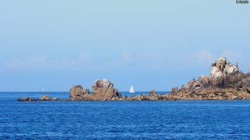 P6225738.JPG