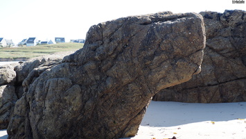 P6225742.JPG