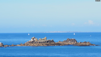 P6225744.JPG
