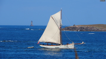 P6235779.JPG