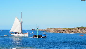 P6235783.JPG