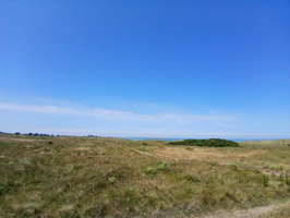 IMG-20250702-WA0018