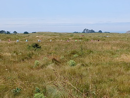 IMG-20250702-WA0016