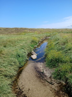 IMG-20250702-WA0010