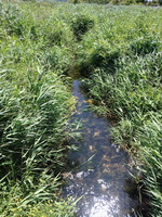 IMG-20250702-WA0005