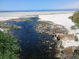 IMG-20250702-WA0002