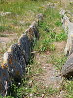 IMG-20250702-WA0003