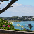P7086246.JPG