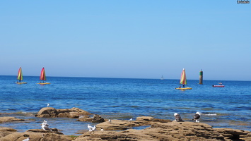 P7106267.JPG